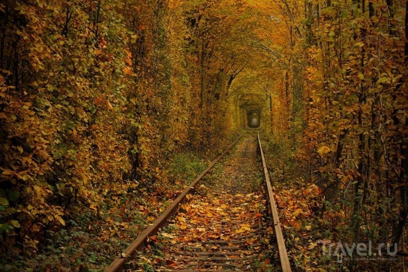 Осень в "Тоннеле любви" / Украина