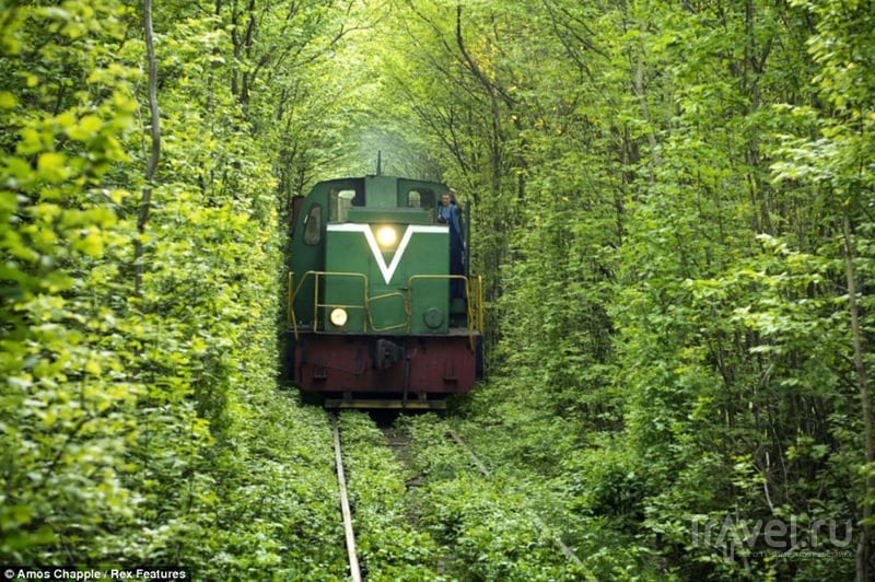 Осторожно: поезд в "Тоннеле любви" / Украина