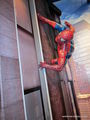 - (Spider Man) / 