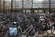 Как они находят свои велосипеды? / Нидерланды