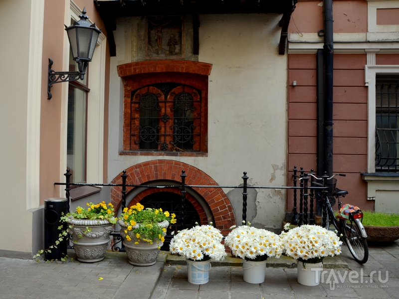 Цветы на улице Риги / Фото из Латвии