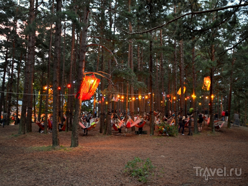 Фестиваль Positivus в Латвии / Фото из Латвии