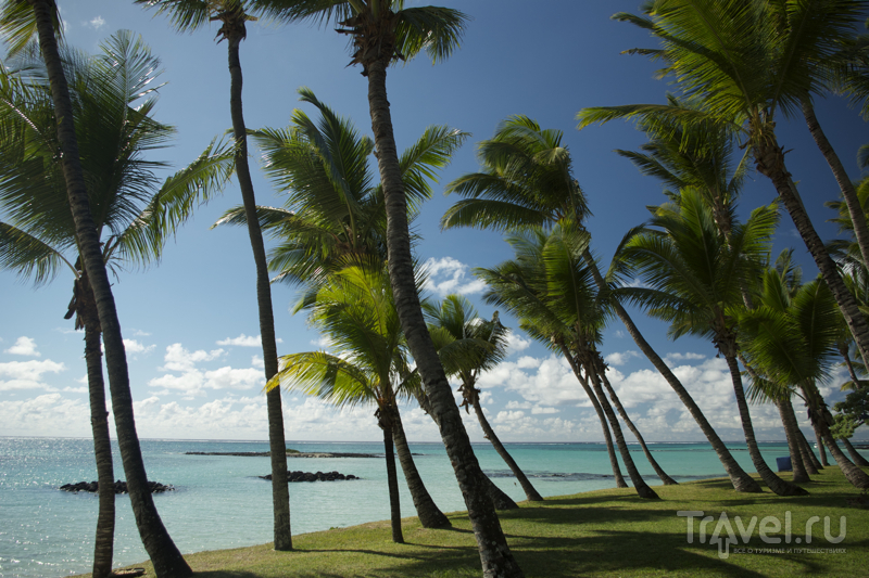 Пляж отеля One & Only Le Saint Geran на востоке Маврикия / Фото с Маврикия