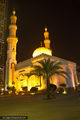 Подсветка мечети / ОАЭ