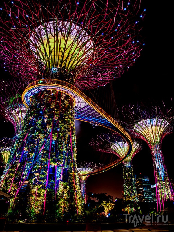 "  " (Gardens by the Bay)   / 