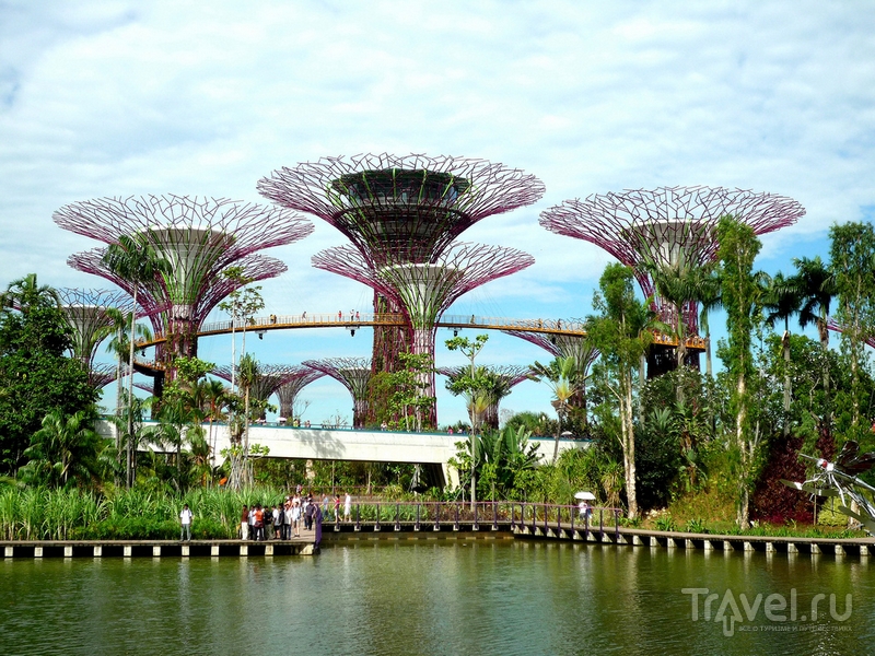   "  " (Gardens by the Bay)   / 