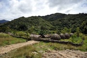 Деревня в долине Больем / Папуа-Новая Гвинея