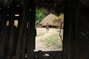 Деревня Дживика / Папуа-Новая Гвинея