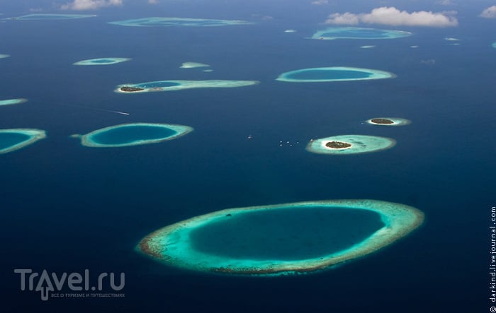 Узоры мальдивских рифов / Фото с Мальдив