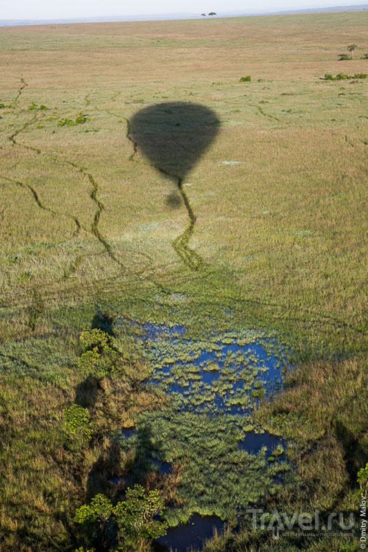 Воздушный шар над национальным парком Масаи-Мара, Кения / Фото из Кении