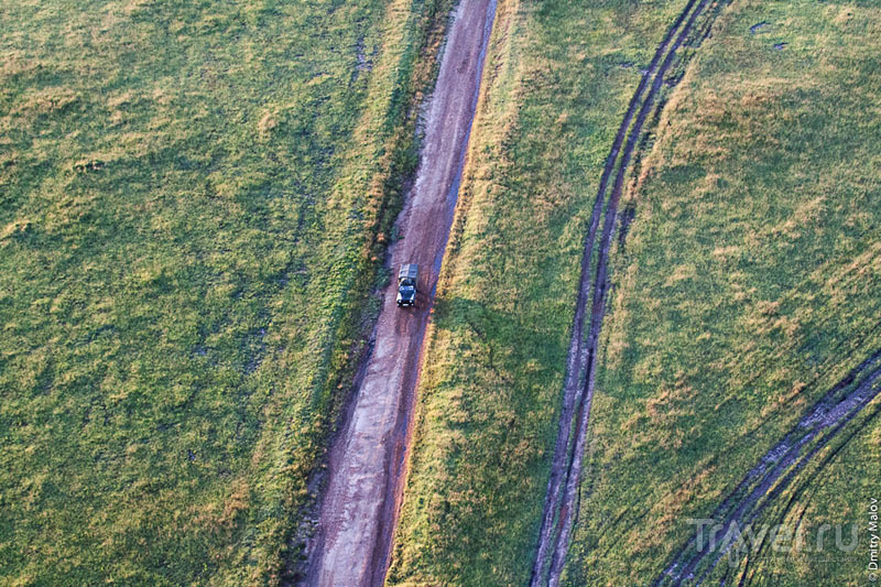 Автомобильная колея в национальном парке Масаи-Мара, Кения / Фото из Кении