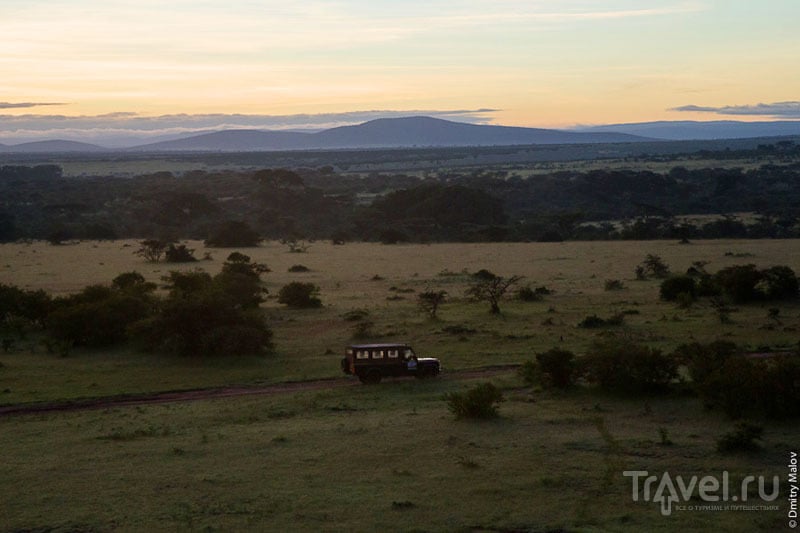 Сафари в национальном парке Масаи-Мара, Кения / Фото из Кении