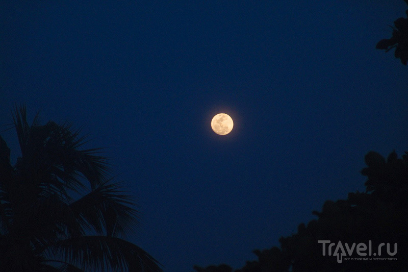 Лунная ночь / Индия