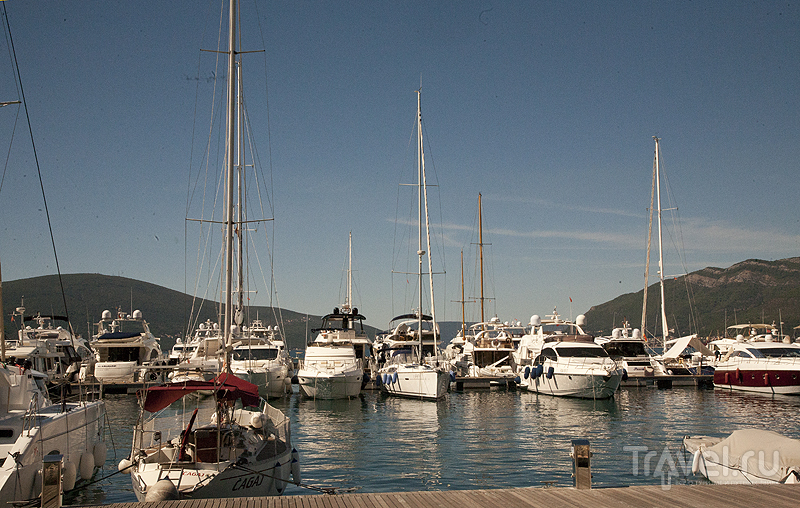 Яхты в "Порту Черногории" / Фото из Черногории