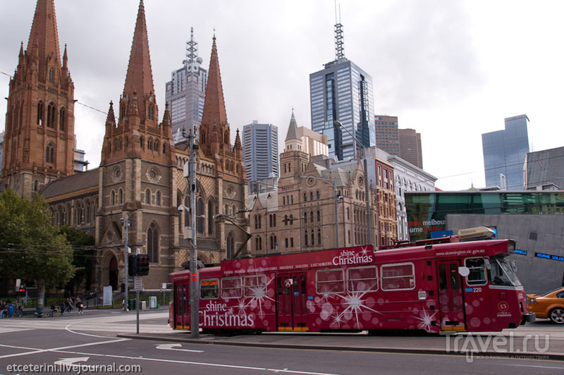 Трамвай в Мельбурне / Фото из Австралии