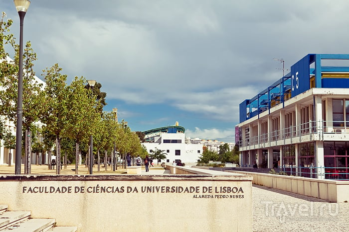 Университет в Лиссабоне / Португалия