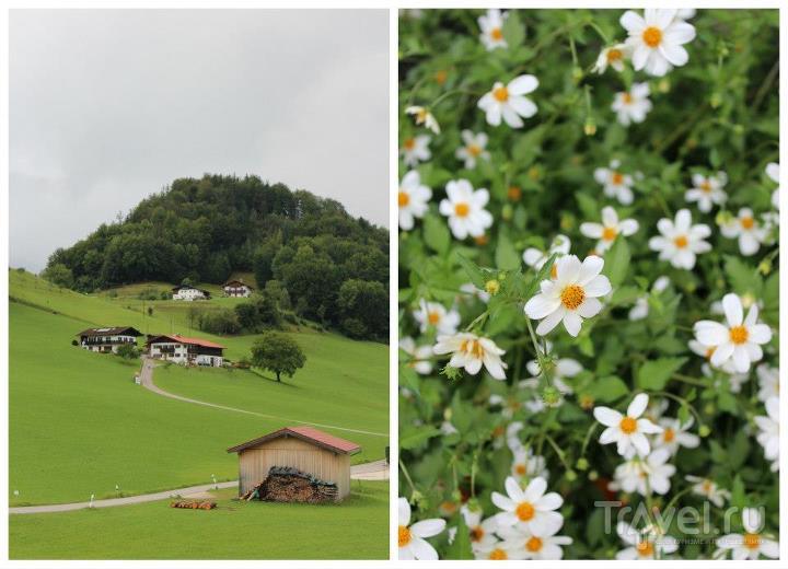 Тропинки и цветы / Австрия