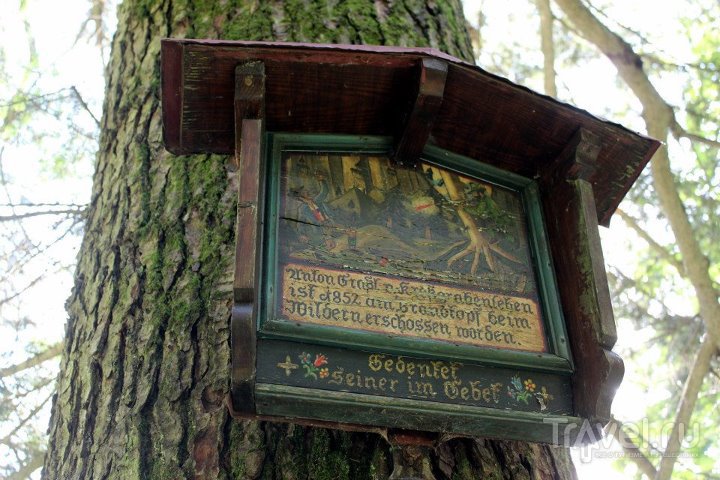 Табличка в лесу / Австрия