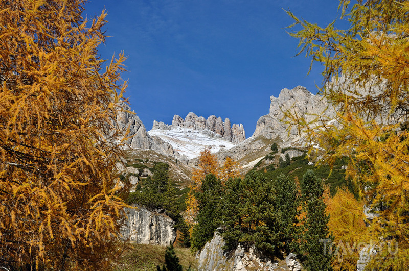 В багрец и золото одетые леса... Доломитовых Альп / Фото из Италии