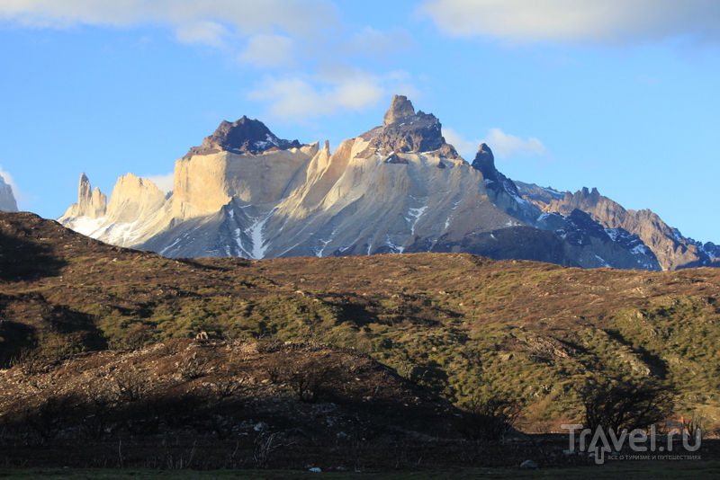 Торрес-Дель-Пайне. Ледник Грэй / Чили