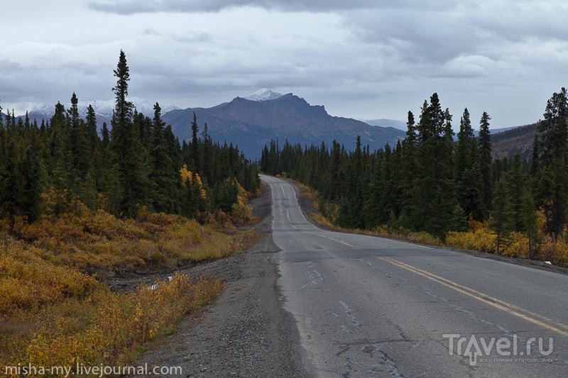Путешествие на Аляску. Национальный парк Денали / США