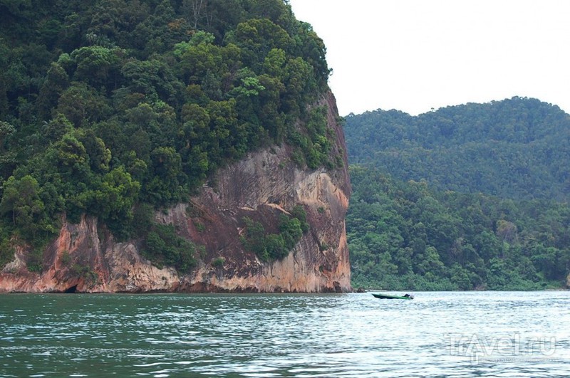 Борнео. Вниз по течению реки Кинабатанган / Малайзия
