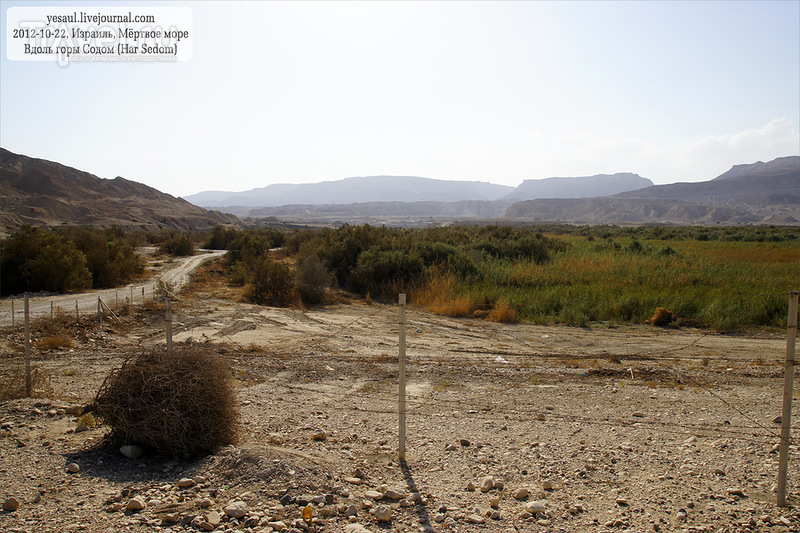 Мёртвым берегом Мёртвого моря, вдоль горы Содом: серия последняя / Израиль