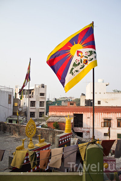Дели: тибетская деревня Мажну Ка Тила / Индия