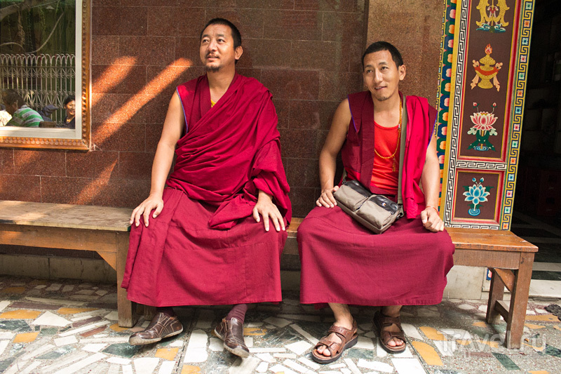 Дели: тибетская деревня Мажну Ка Тила / Индия