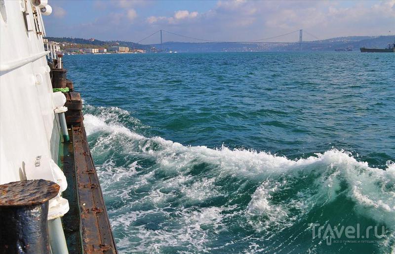 Стамбул: город на воде / Фото из Турции