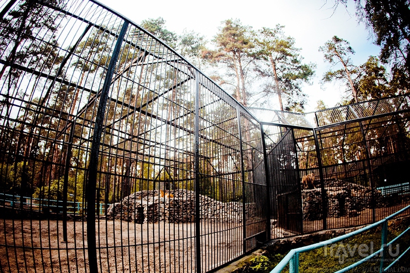 Новосибирский зоопарк / Россия