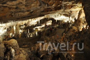 Словения, Постойнская пещера / Словения