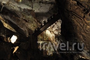 Словения, Постойнская пещера / Словения