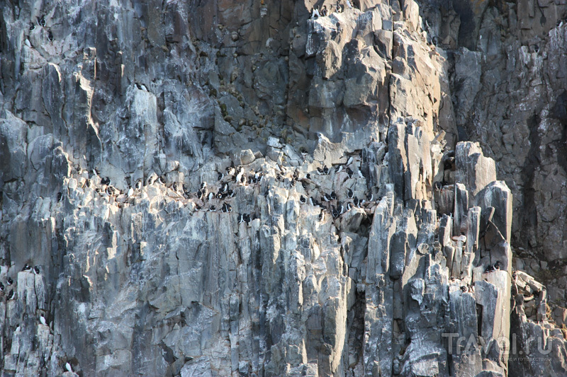 Ледники Шпицбергена / Фото со Шпицбергена