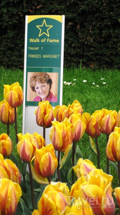 Голландия: королевский парк цветов Кекенхоф / Нидерланды