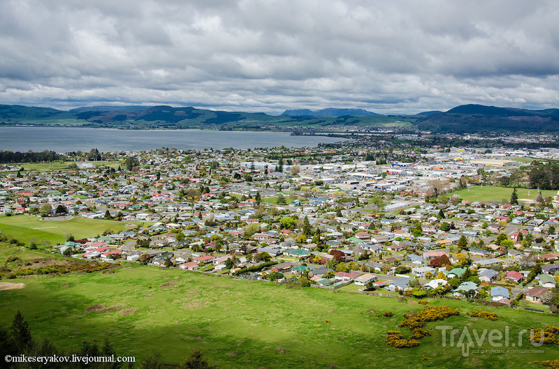 Новая Зеландия. Киви и маори / Фото из Новой Зеландии