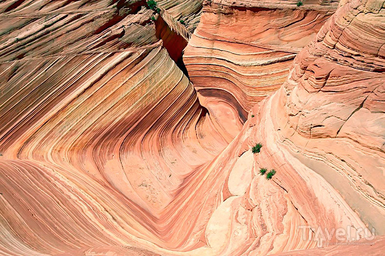 The Wave Canyon, UT / 