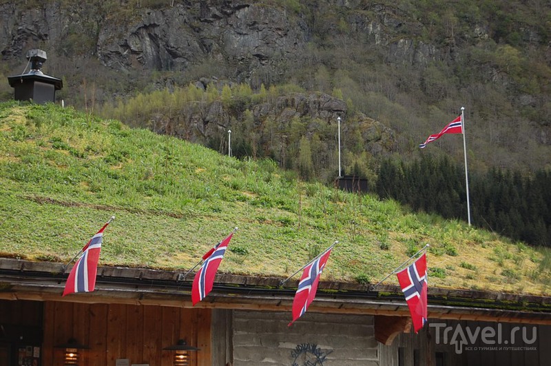 Norway in a nutshell / Фото из Норвегии