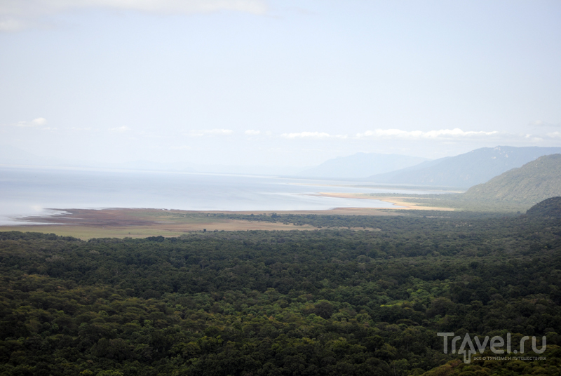 Танзания: заказник и кратер Нгоронгоро / Фото из Танзании