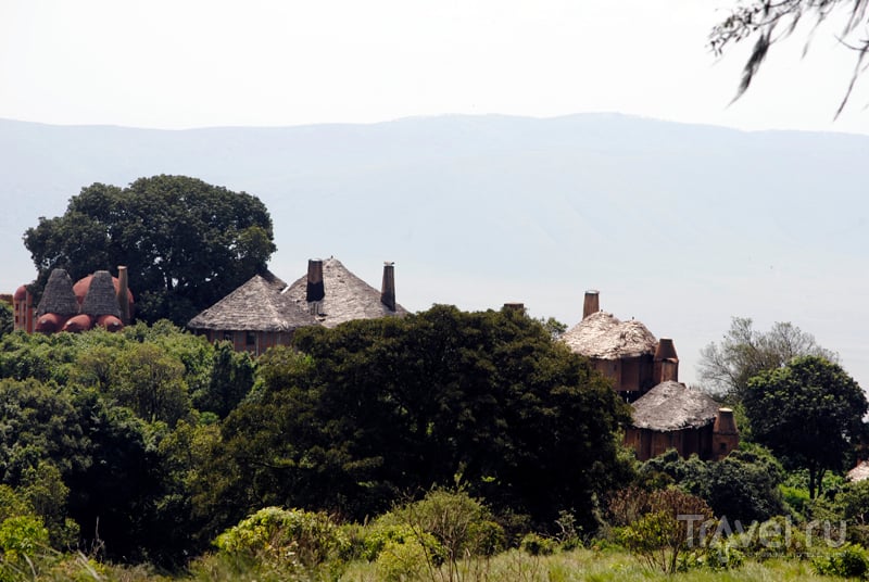 Танзания: заказник и кратер Нгоронгоро / Фото из Танзании