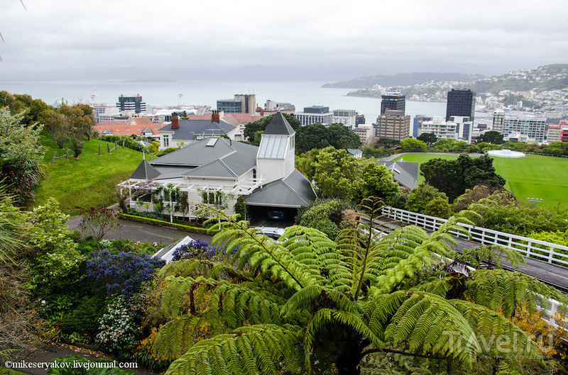 Новая Зеландия. Город ветров / Фото из Новой Зеландии