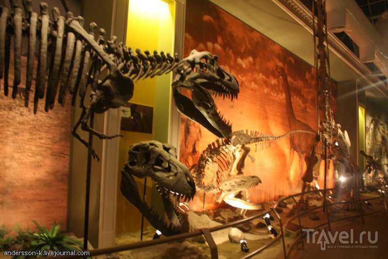 Стамбульский Jurassic Land / Фото из Турции