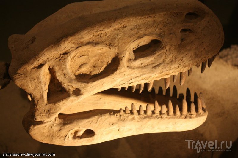 Стамбульский Jurassic Land / Фото из Турции