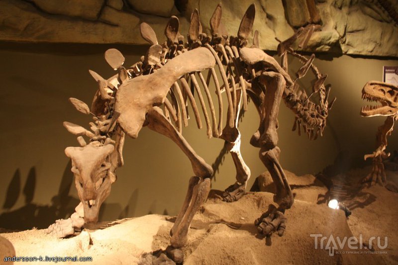 Стамбульский Jurassic Land / Фото из Турции