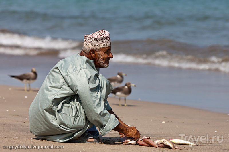 Четыре дня в Омане / Фото из Омана