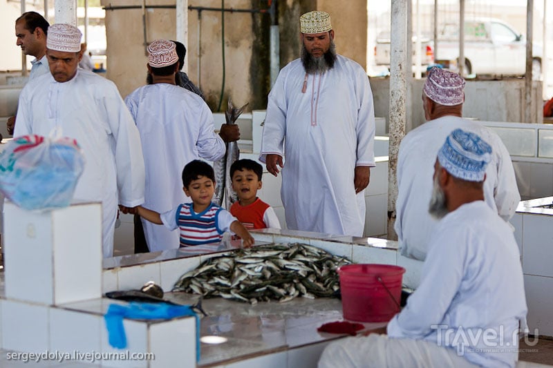 Четыре дня в Омане / Фото из Омана