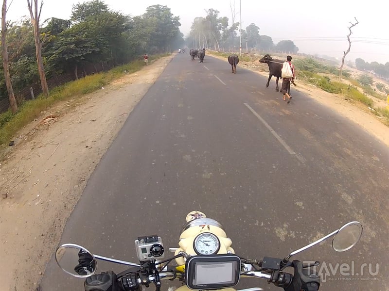 Путь в Агру, Тадж-Махал и Фатехпур Сикри / Индия