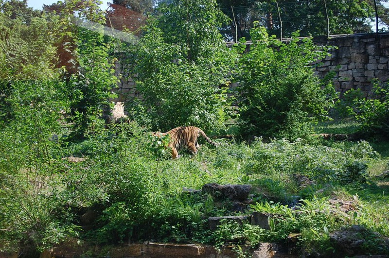 Рижский зоопарк / Латвия