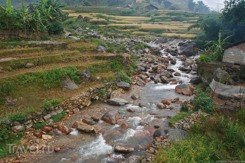 Прогулка по рисовым террасам / Фото из Вьетнама