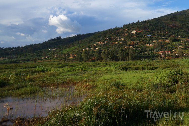 На зеленых холмах страны Ру / Руанда
